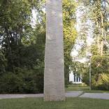 strelak-2015-08-014