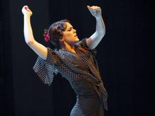 Festival Ibérica:  flamenko, koncerty a tvůrčí dílny 