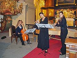 Musica poetica a Barokní ženy