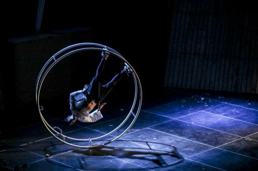 Cirkus bude v Brně: Mezinárodní festival nového cirkusu, divadla a hudby