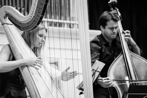 Harfa a kontrabas? Filharmonie Brno zvyšuje laťku