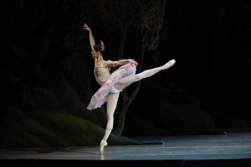Aktuálně: S Baletem NdB v příštím týdnu vystoupí tanečnice Anastasia Matvienko