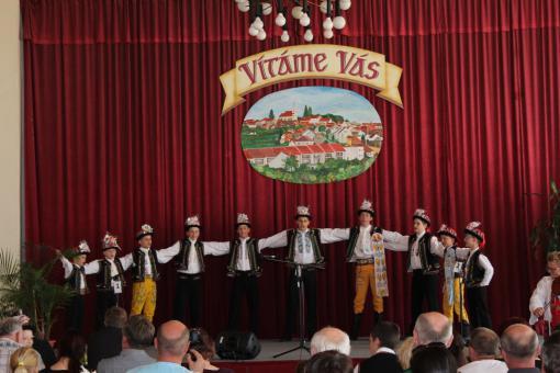 Vrbice - nová výstava v Paláci šlechtičen